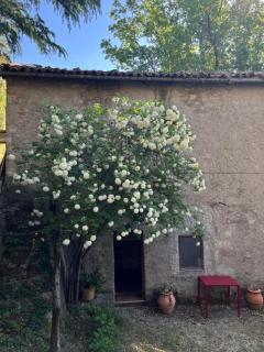 Borgo Il Monzone - Castel dʼAiano - 6