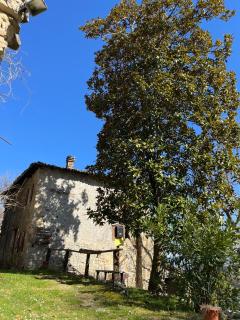 Borgo Il Monzone - Castel dʼAiano - 8