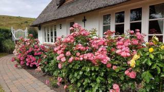 Wohnung B Renate ID 432 - 0