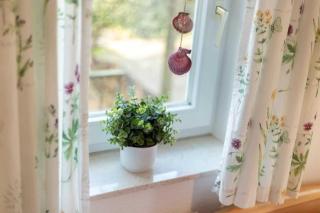 Wohnung 1 ID 088 - Sankt Peter-Ording - 1