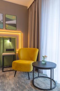 Hotel Krynica Conference & SPA - Krynica Zdrój - 8