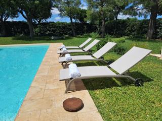Villa Agapanthus - Monopoli - 1