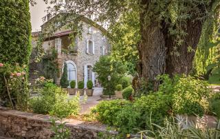 Collines de Manon & Spa - Forcalquier - 0