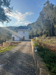 Casa Miron - Goelba - Capoliveri - 0