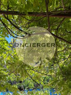 Maison provençale avec piscine - 6