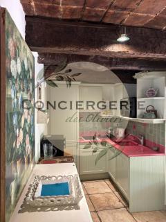 Maison provençale avec piscine - 1