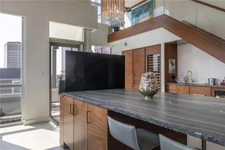 Cleveland Skyline Downtown Penthouse - Cleveland - 3