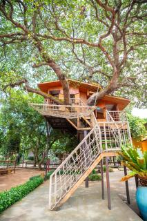 Greenfield Farmstay Vung Tau - Ba Ria - 1