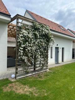 Dream Apartman - Levél - 8