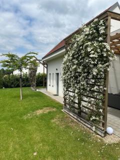Dream Apartman - Levél - 9