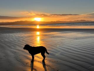 Sunsets on Harbour - Matarangi - 9