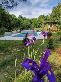 Villa élégante à Château-la-Vallière avec piscine privée - Château-la-Vallière - 9