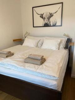Apartmany Tachov Garden House - Tachov - 6