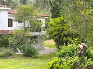 Villa Sea and Forest - Elani Halkidiki - 0