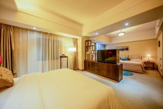 Aurum International Hotel Xi'an - Xi'an - 8