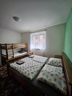 Dům u parku - Znojmo - 5