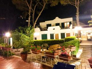 Hotel Don Felipe - Ischia - 8
