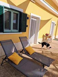 Casina al Castello - Natura e Relax - Castel del Monte - 9
