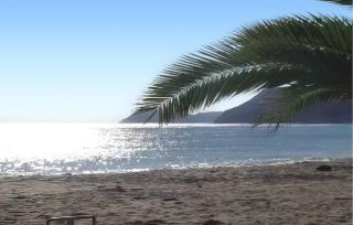 Casa La Palmera - Vera - 3