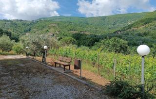Awesome Home In Sessa Cilento With Wifi - Sessa Cilento - 9