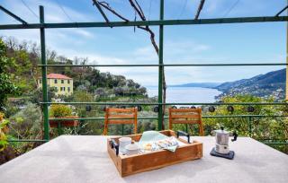 Langelina - Camogli - 3