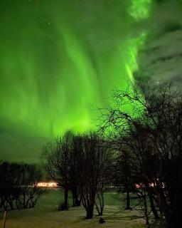 Syðra-Skörðugil Guesthouse - 8