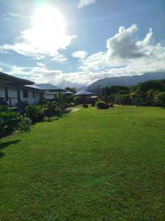 Papeari sea side 1 Logement neuf en bord de mer - Otutara - 7