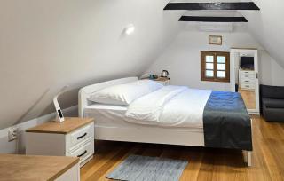 Amazing Home In Gusce With Sauna - Gušće - 5