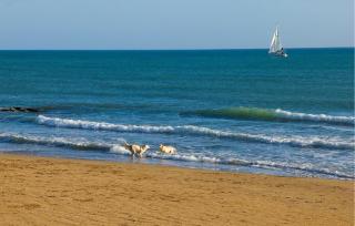 Lovely Apartment In Marina Di Ragusa - Marina di Ragusa - 6