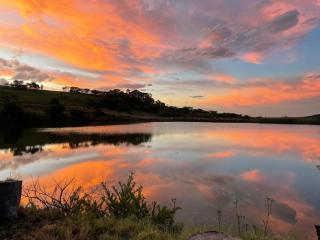 Bush Creek Guest House - Mooi Rivier - 5