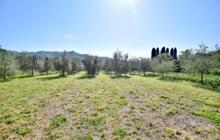 Nice Home In Camaiore With House A Panoramic View - Camaiore - 4