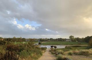 Beach House nr 69 - Ouddorp - 7