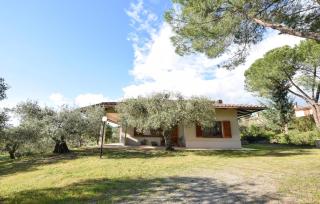 Villa Larry - San Feliciano - 3