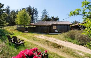 3 Bedroom Beautiful Home In Blokhus - Blokhus - 1