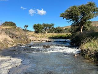 Bush Creek Guest House - Mooi Rivier - 4