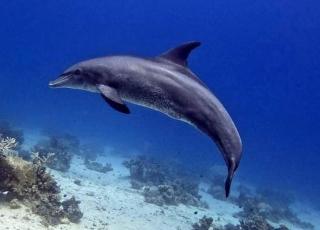 Funnydivers Diving center - 7