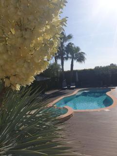 Villa La Lauzade - Le Luc - 0