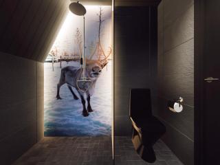 Aurora Village Ivalo - 8