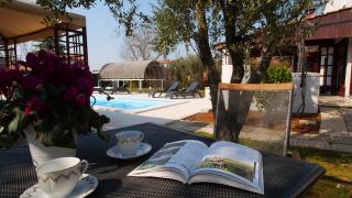 Villa Grace Felice for 8 people with private pool & only 2 km from the beach near Fazana - Valbandon - 1