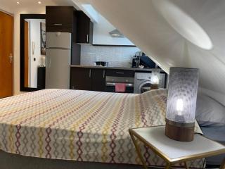 Nice Studio near city center & Lake - Annecy - 1