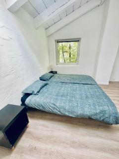 Penthouse Overlooking the Neckar - Heidelberg - 2