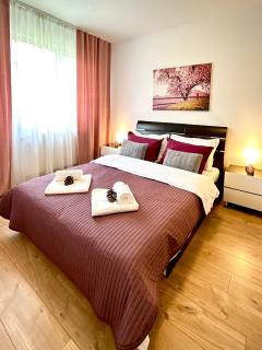 Chic Escape One - free parking - Brasov - 9