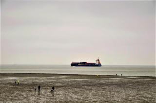 Gemütliche Ferienwohnung - Cuxhaven - 5