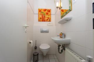 Kormoran Dünensommer - Prerow - 2