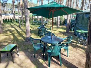 Green Point - Skorka - 0