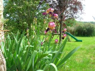 Les gîtes d'Auriac - 6