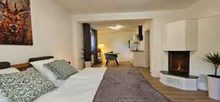 Elodia Luxus Apartment, WLAN, Terrasse, Küche, Handtücher - Heidenheim an der Brenz - 5