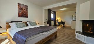 Elodia Luxus Apartment, WLAN, Terrasse, Küche, Handtücher - Heidenheim an der Brenz - 7