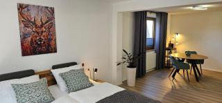 Elodia Luxus Apartment, WLAN, Terrasse, Küche, Handtücher - Heidenheim an der Brenz - 2