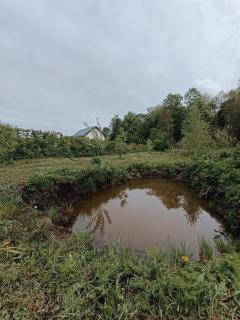 Dom wśród łąk - 5